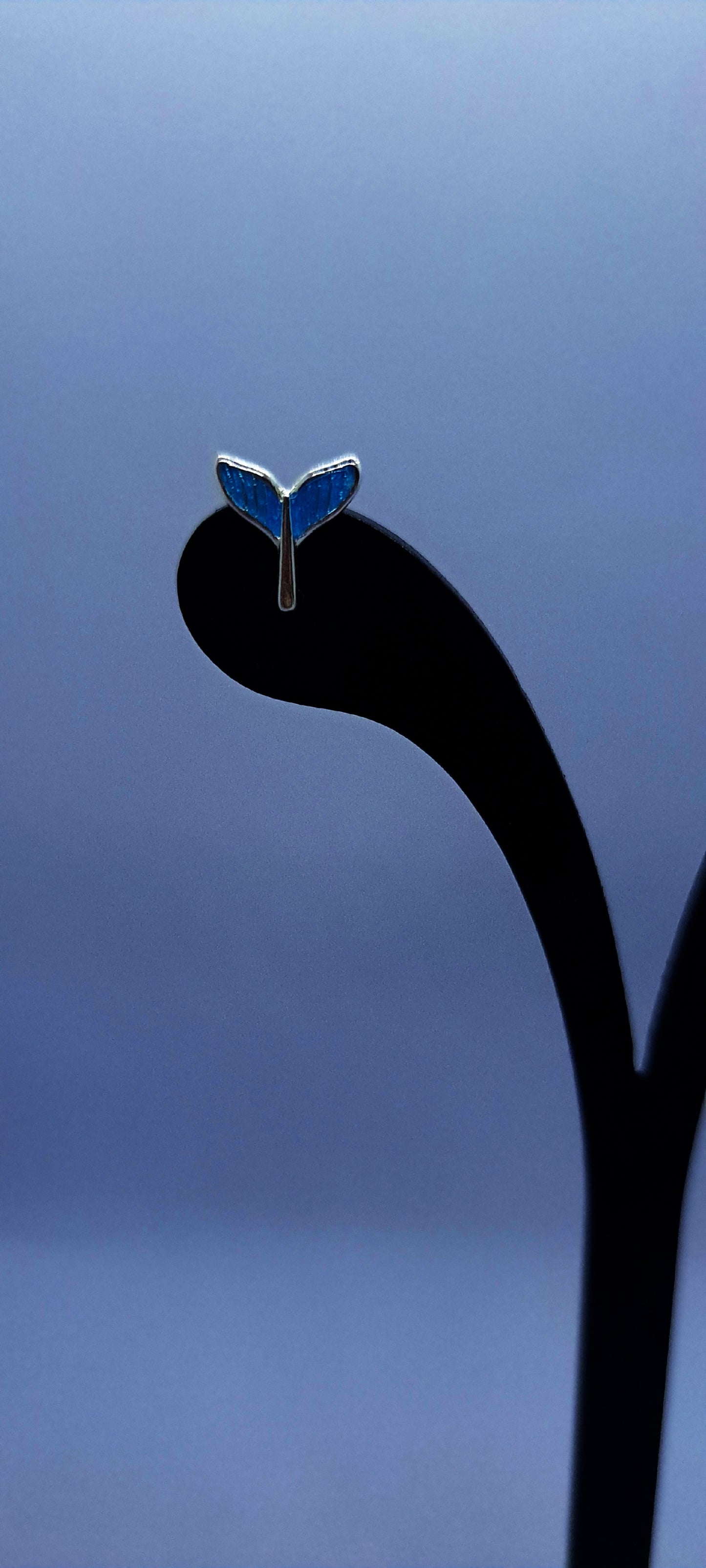 Aros Secreto del Océano - Plata 925.